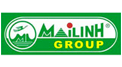 Mai Linh Group